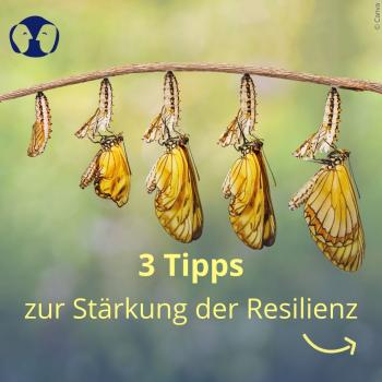 3 Tipps